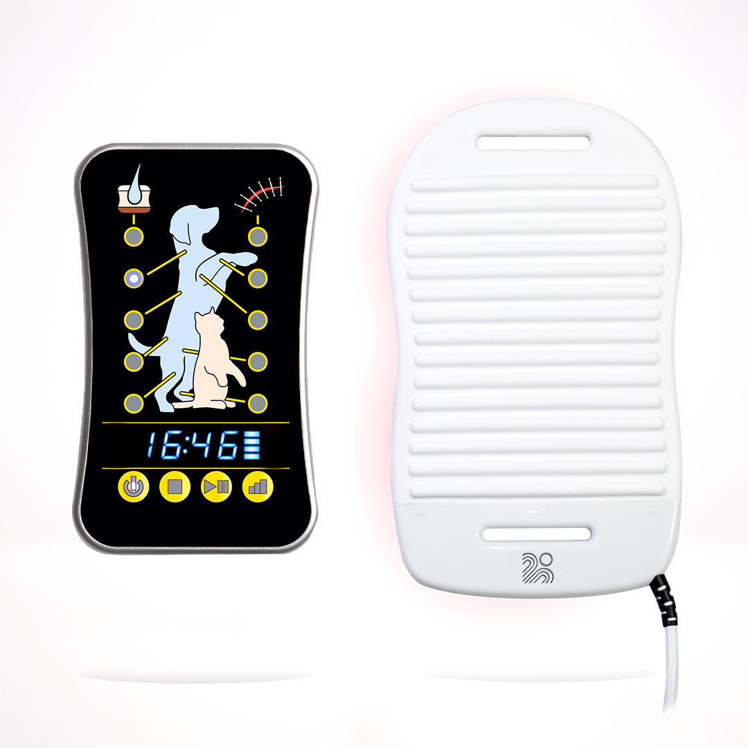 Pet Therapy P120 - Rentals